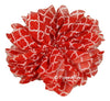 Scallop White Quatrefoil Print Chiffon Flower 2.75"