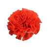 Shabby Puff Chiffon Flower 2.2"